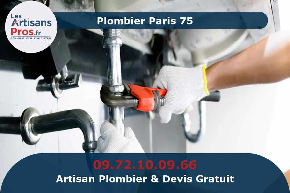 Quel artisan choisir pour vos travaux à Paris 75019 ? trouvez un artisan qualifié pour vos travaux à paris 75019 : rénovation, dépannage, peinture, électricité, plomberie. devis gratuit et intervention rapide dans le 19e arrondissement.