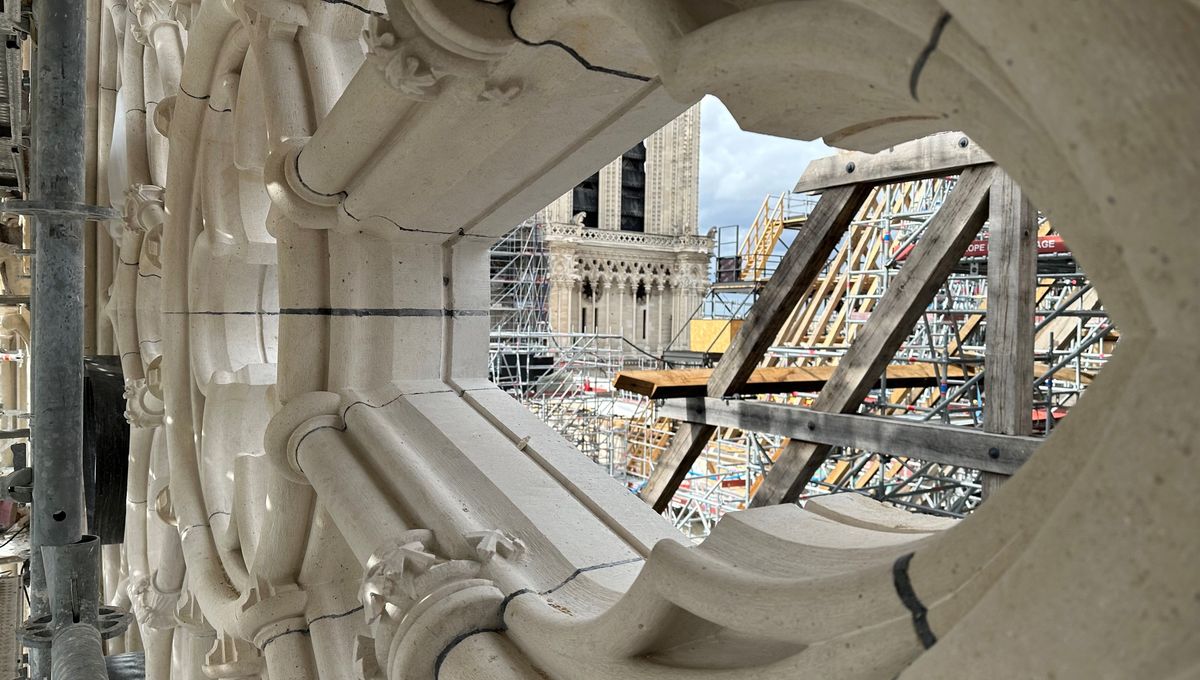 d&eacute;couvrez comment choisir la meilleure entreprise de r&eacute;novation &agrave; paris 75019 : conseils, crit&egrave;res essentiels et astuces pour r&eacute;ussir vos travaux en toute confiance.