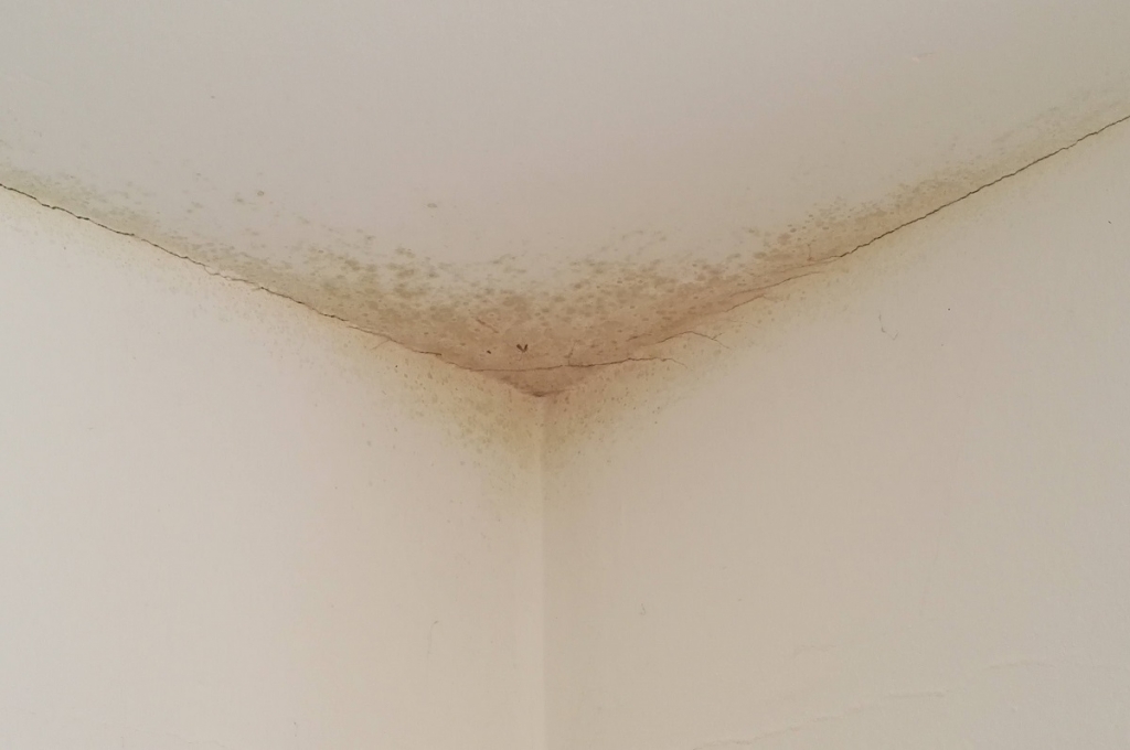 besoin d&rsquo;assainir un logement humide &agrave; paris 19 ? d&eacute;couvrez nos solutions efficaces pour traiter l&rsquo;humidit&eacute;, am&eacute;liorer la qualit&eacute; de l&rsquo;air et retrouver un habitat sain et confortable !