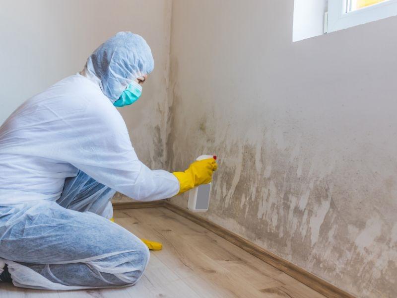 besoin d’assainir un logement humide à paris 19 ? découvrez nos solutions efficaces pour éliminer l’humidité, prévenir les moisissures et retrouver un intérieur sain et confortable rapidement.