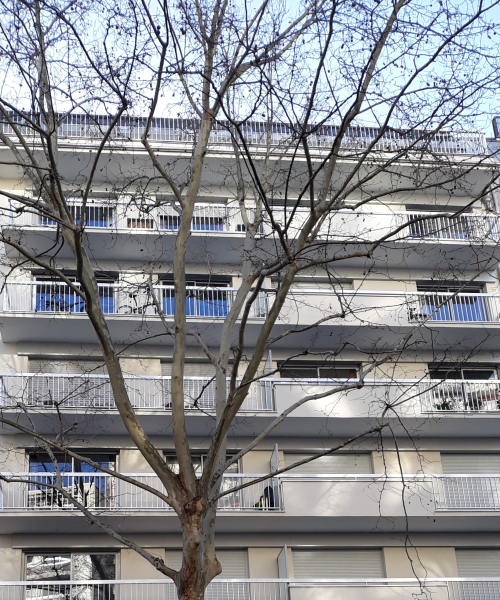 faites des &eacute;conomies sur vos travaux avec notre service de r&eacute;novation &eacute;conomique &agrave; paris 75019. qualit&eacute;, rapidit&eacute; et devis gratuits pour tous vos projets de r&eacute;novation d&rsquo;appartement ou maison.