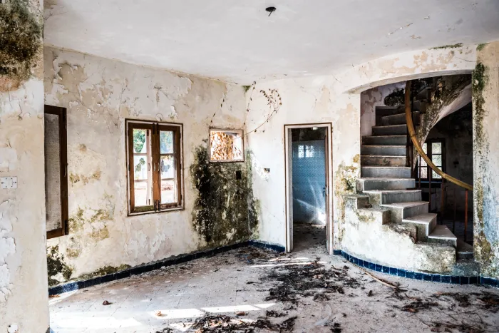 Logement insalubre à Paris 75019 : tout sur la rénovation complète découvrez nos solutions de rénovation pour logements insalubres dans le 75019 : améliorez le confort, la sécurité et la santé de votre habitat grâce à notre expertise professionnelle.