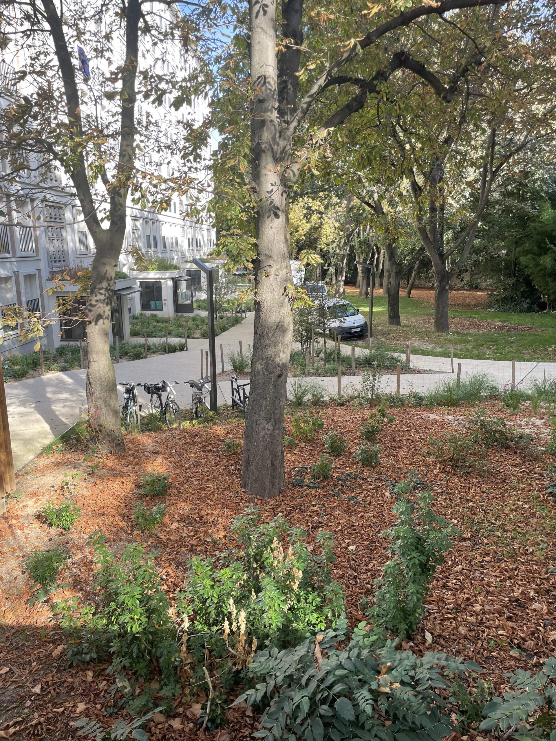 Comment planifier une rénovation réussie à Paris 19 en 2025 découvrez nos services de rénovation à paris 19 en 2025. rénovez votre appartement ou maison avec des professionnels qualifiés. devis gratuit et accompagnement personnalisé pour des travaux réussis !