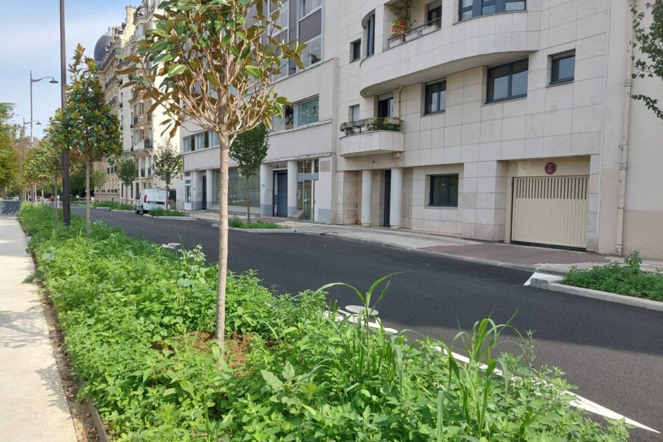 besoin de r&eacute;nover votre appartement ou maison &agrave; paris 75019 ? d&eacute;couvrez nos services de r&eacute;novation professionnelle, conseils sur mesure et devis gratuits pour tous vos projets dans le 19&egrave;me arrondissement.